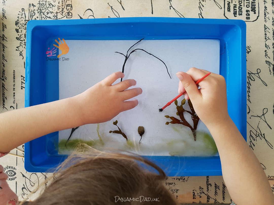 Arranging The Seaweed Print - Seaweed Prints - Dynamic Dad