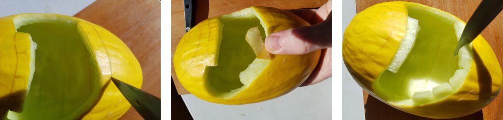 Detailing the teeth - Minion Melon - Dynamic Dad