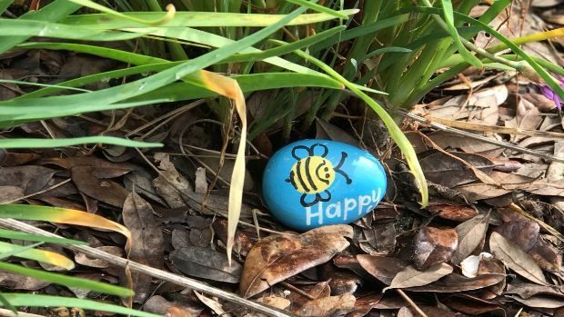 Happy rock in flower bed - Rock Hunting - Dynamic Dad