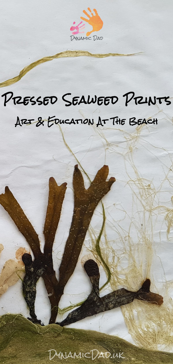 Pressed Seaweed Prints - Dynamic Dad