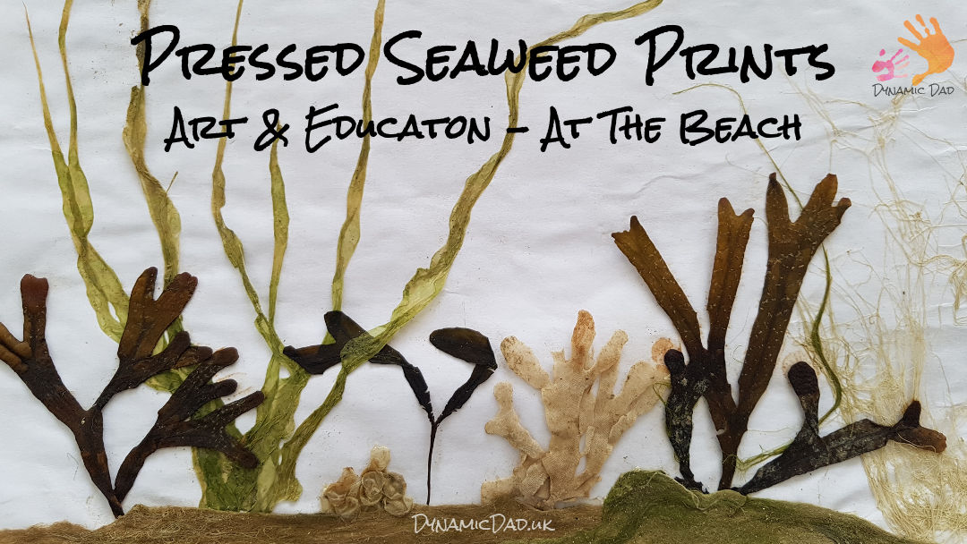 Seaweed Print - Seaweed Prints - Dynamic Dad