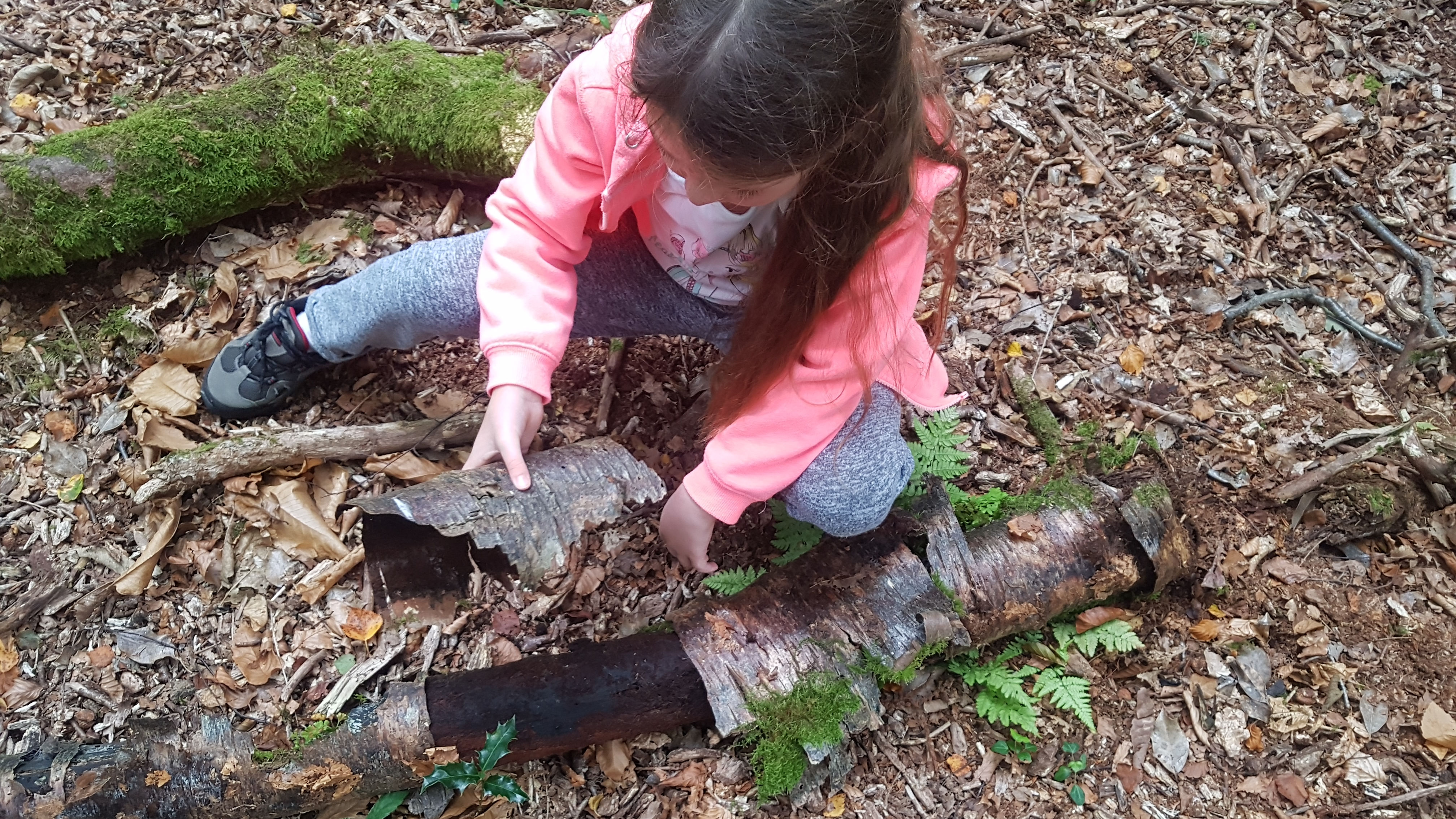 Collecting bark - how to make a fairy house - dynamic dad