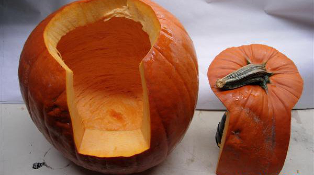 hhalloween pumpkin carving essentials perfect pumpkin cut dynamic dad